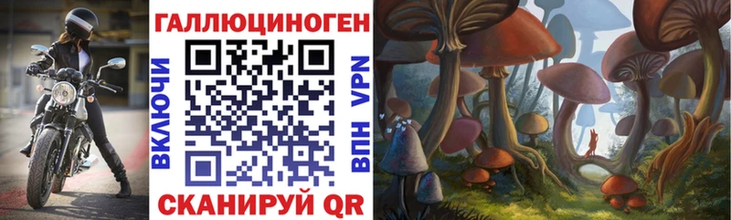 Псилоцибиновые грибы Cubensis  кракен маркетплейс  сайты даркнета телеграм  Сельцо 